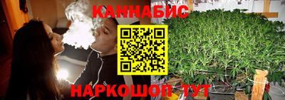 индика Кудымкар