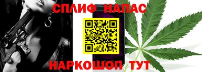 индика Кудымкар