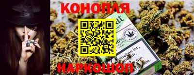 индика Кудымкар