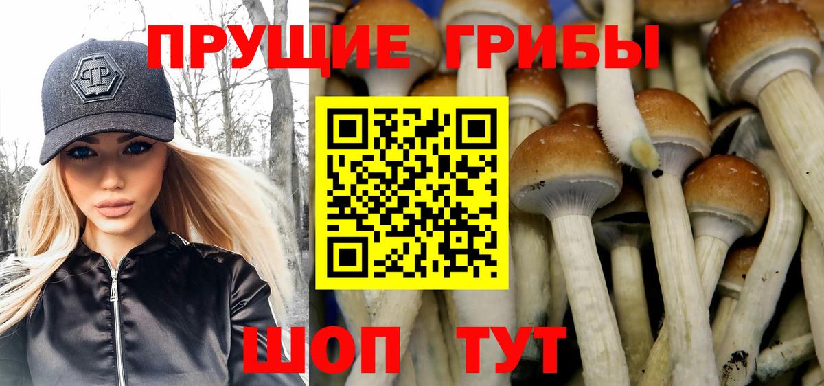 Галлюциногенные грибы мухоморы  Вход с VPN  Гуково 